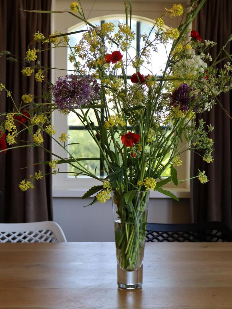 Luxe Vakantiehuis In Friesland ชูเรอ ภายนอก รูปภาพ